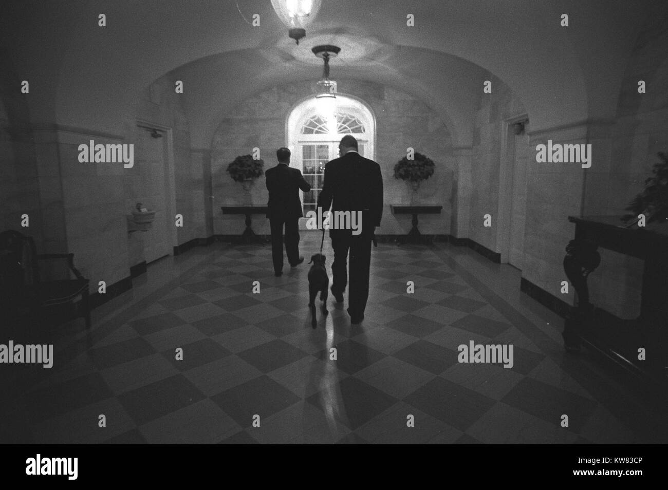 Il presidente Bill Clinton cammina con la schiena girata accanto al primo Pet, Buddy il cane, un marrone moca labrador, collegati da un guinzaglio in uscita attraverso un corridoio piastrellato nella Casa Bianca, accompagnati da una guardia di sicurezza in un vestito, Washington, Distretto di Columbia, Dicembre 14, 1997. Foto Stock