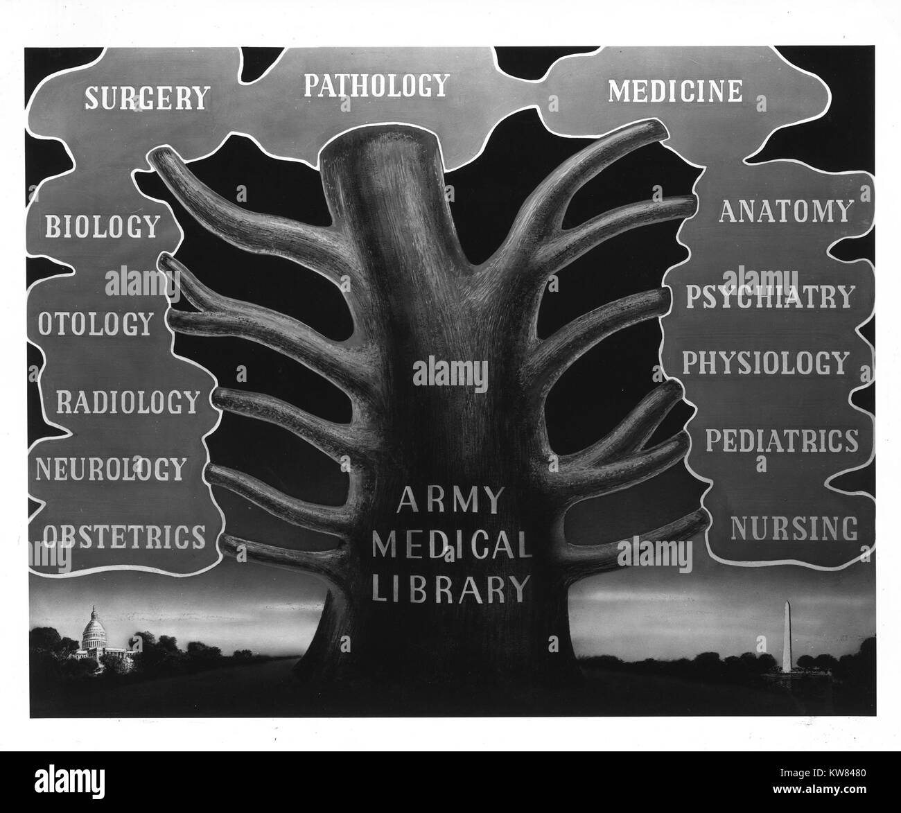 L'esercito biblioteca medica come l'albero della conoscenza medica, con rami che rappresentano i principali campi raccolti dalla biblioteca; Washington, Distretto di Columbia, 1945. Foto Stock