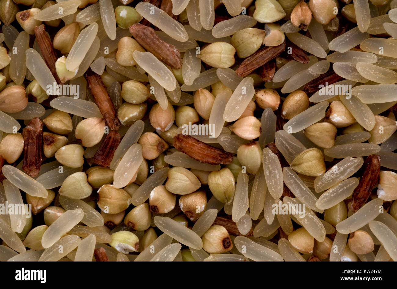 Riso a grani lunghi, in grani interi di riso rosso e grano saraceno. Mangiare sano per minestre o in alternativa alla semplice riso. Primo piano dettaglio. Foto Stock
