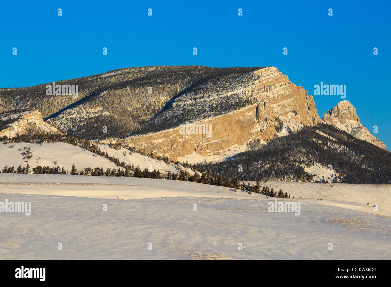 A dente di sega di crinale lungo il Rocky Mountain Front in inverno vicino a Augusta, montana Foto Stock