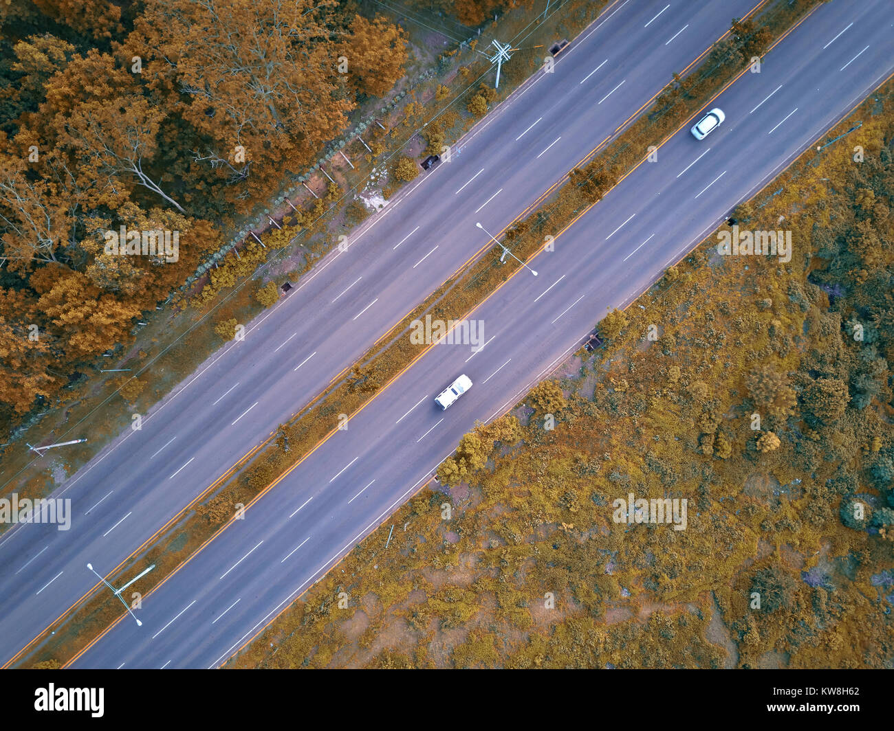 Vista aerea su strada asfaltata nella stagione autunnale. Spostare l'auto in strada vuota Foto Stock