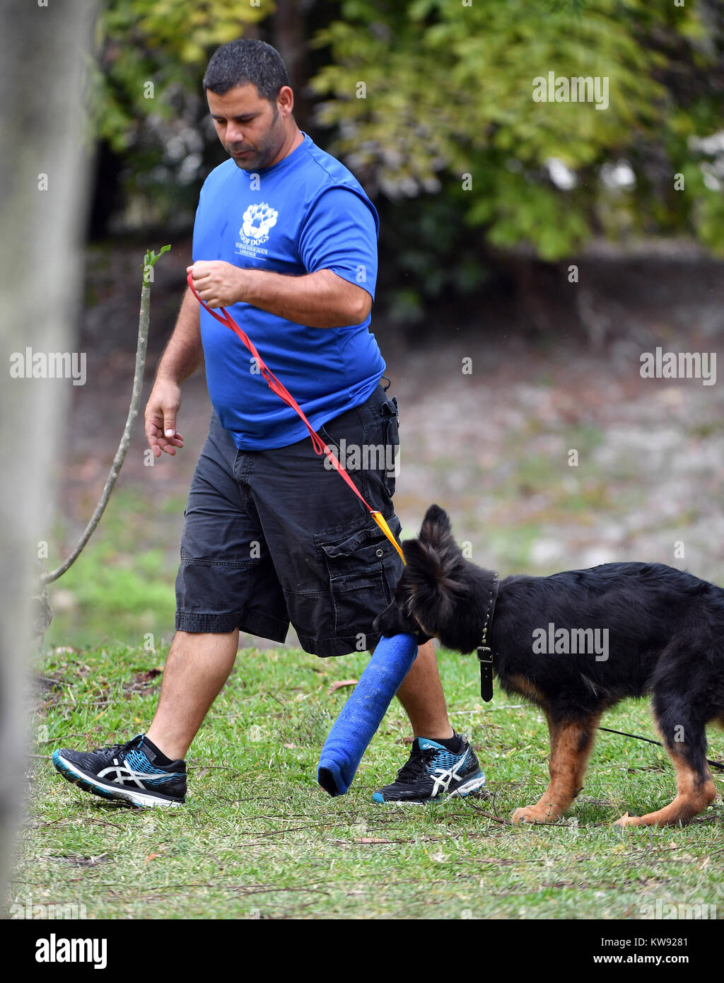 LOXAHATCHEE, FL - 17 aprile: Rocco cane modello #RoccoModelDog sotto passa il suo primo incarico come un anti-terrorismo cane con trama cani Capo istruttore/comportamento canino consulente Shay Maimoni. Shay Maimoni è diverso da qualsiasi altro cane trainer. La sua vita la passione è di addestramento cani; non è solo un lavoro. -Israeliano nato, Shay era esposto alla formazione militare all'età di quindici anni quando entrò una base navale di alta scuola. Subito dopo la laurea, ha unito i militari israeliani (IDF). Da una posizione a un altro, le sue abilità sono stati testati fino a quando uno dei comandanti notato come ben Shay collegato con i cani Foto Stock