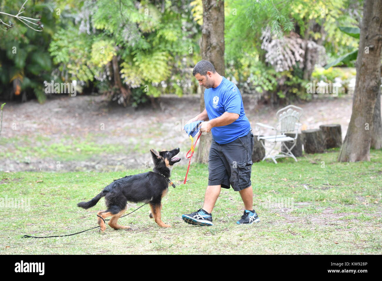 LOXAHATCHEE, FL - 17 aprile: Rocco cane modello #RoccoModelDog sotto passa il suo primo incarico come un anti-terrorismo cane con trama cani Capo istruttore/comportamento canino consulente Shay Maimoni. Shay Maimoni è diverso da qualsiasi altro cane trainer. La sua vita la passione è di addestramento cani; non è solo un lavoro. -Israeliano nato, Shay era esposto alla formazione militare all'età di quindici anni quando entrò una base navale di alta scuola. Subito dopo la laurea, ha unito i militari israeliani (IDF). Da una posizione a un altro, le sue abilità sono stati testati fino a quando uno dei comandanti notato come ben Shay collegato con i cani Foto Stock