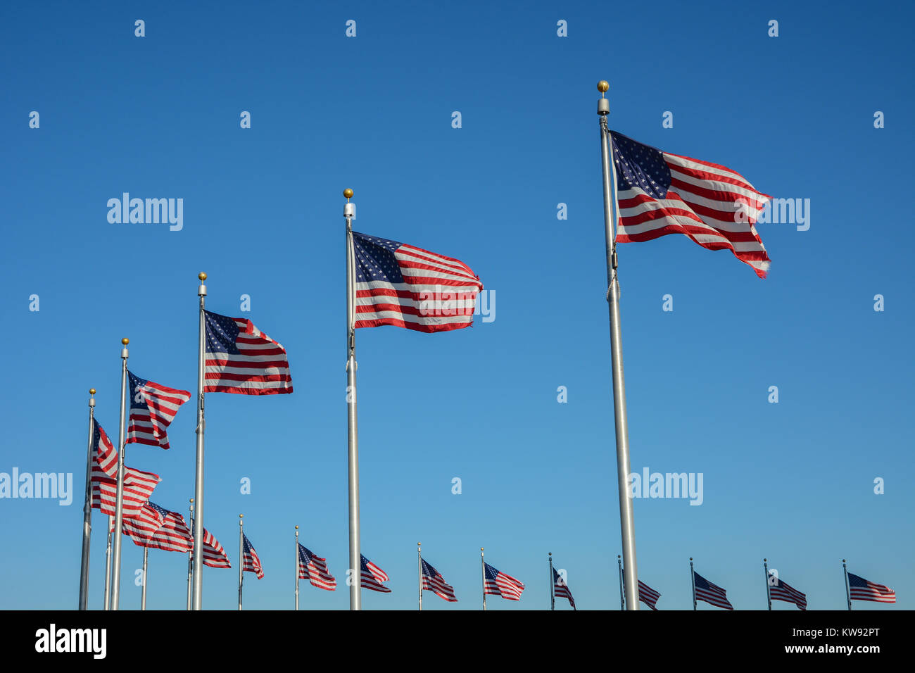 Cerchio di American a stelle e strisce bandiere sulla bandiera poli che circonda il monumento di Washington, Washington DC, Stati Uniti d'America Foto Stock