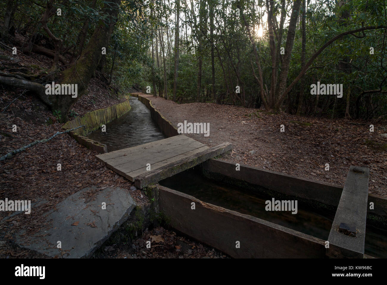 Questa immagine è stata scattata in corrispondenza della estremità superiore della chiusa su Mingus Creek. Il sentiero si snoda per circa 1.5 miglia nel paese di alta. Mingus Mill si trova al di fuori della US 441 appena fuori di Cherokee, NC nel Parco Nazionale di Great Smoky Mountains. Si tratta di un mulino a turbina rispetto a una ruota di acqua alimentata mulino. L'acqua di sluice riempie una colonna cava approximagely 4' square e 12-15 ft. di altezza. La pressione da questa colonna di acqua è sufficiente per azionare la turbina e generare 11 hp. Il mulino è ancora operativo su una base quotidiana e vende i propri prodotti al pubblico. Foto Stock