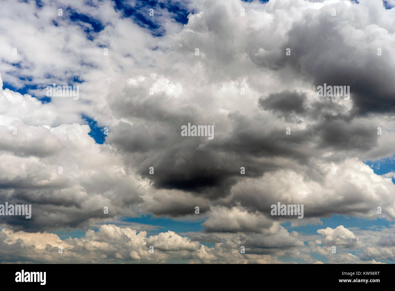 Meteo prima della pioggia. Il cielo pieno di cumulus nubi Foto Stock