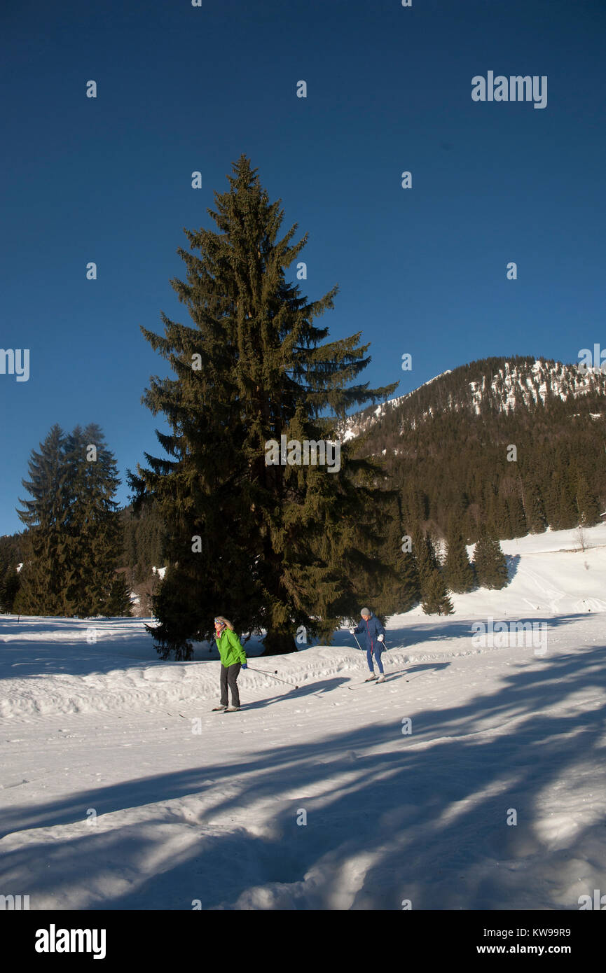 Un paio di sci di fondo sul lago di Spitzingsee in MÃ¼nchen. Foto Stock