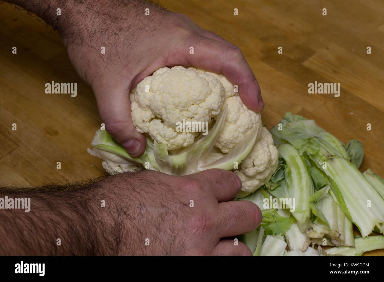 Preparazione di un cavolfiore per la cottura al gratin di cavolfiore Foto Stock