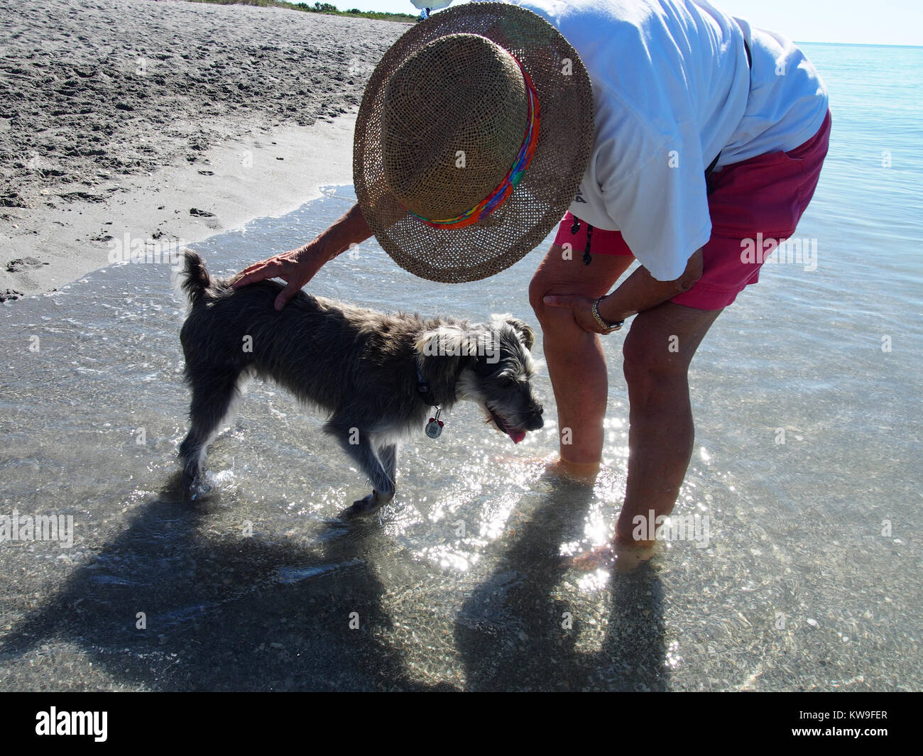 Il cane e il suo umano godendo l'acqua a zampa Park in Venice Beach, Florida, © Katharine Andriotis Foto Stock