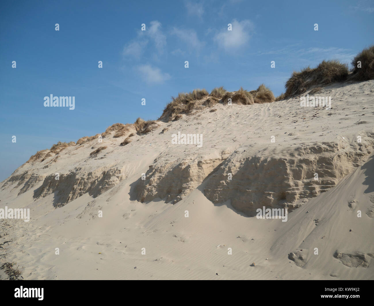 Le dune di sabbia e di erba marram sulla costa di Opal del nord della Francia Foto Stock