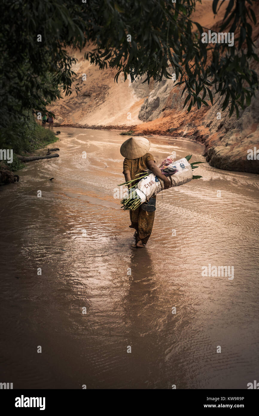 La donna in un duro lavoro in Mui né, Vietnam, che porta il suo carico attraverso un flusso di acqua. Foto Stock