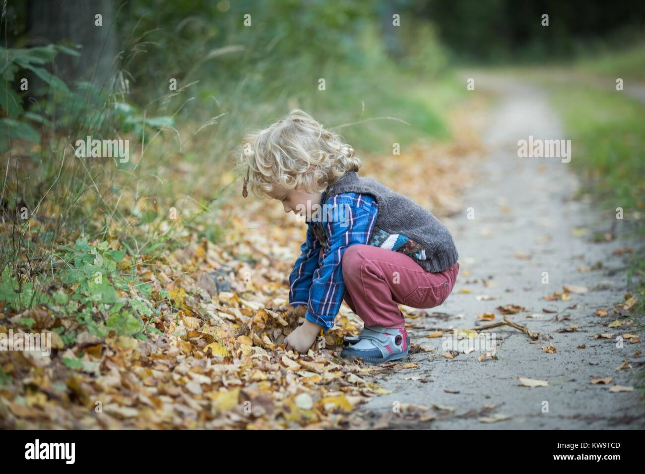 Giovane ragazzo giocando nella foresta autunnale Foto Stock