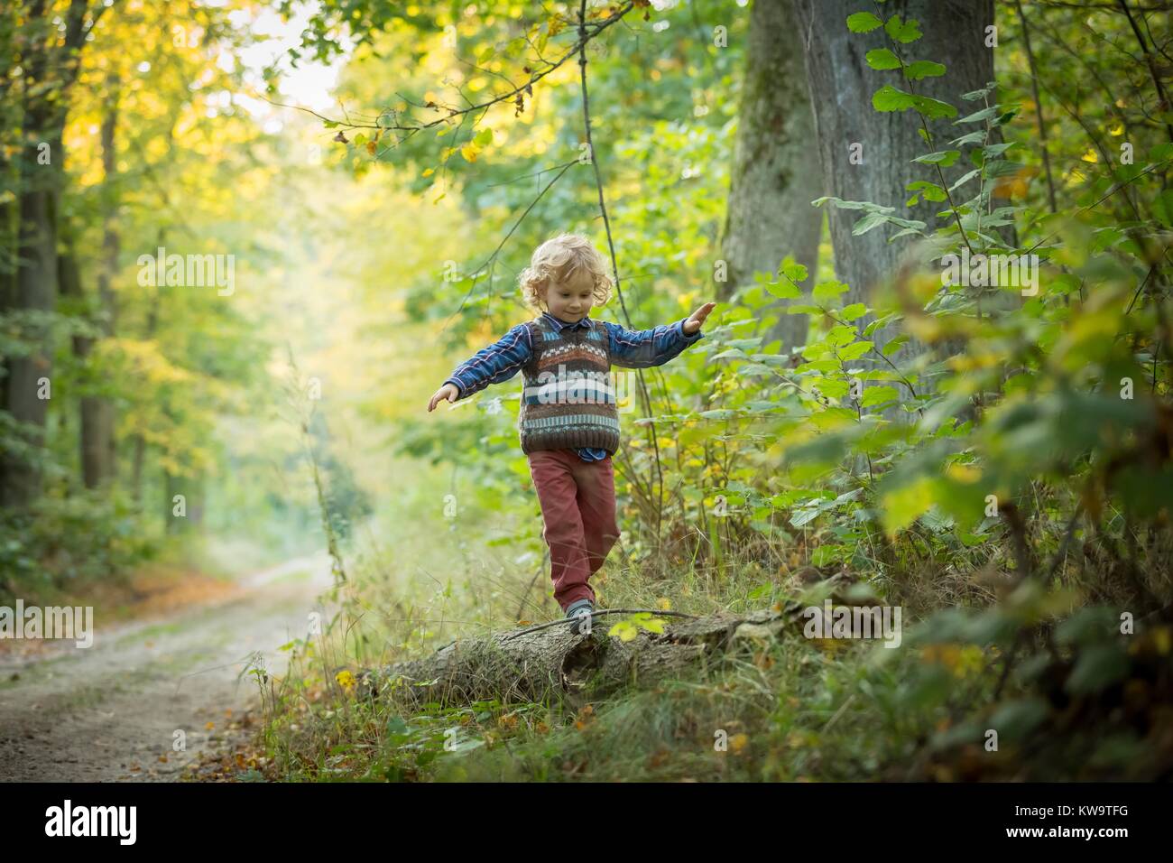 Giovane ragazzo giocando nella foresta autunnale Foto Stock
