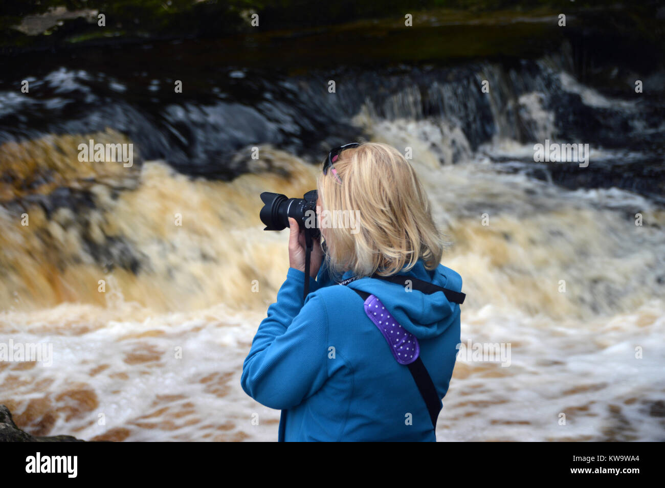 Una donna fotografo di scattare le foto di forza Stainforth cascate sul fiume Ribble in Ribblesdale, Yorkshire Dales National Park, England Regno Unito. Foto Stock