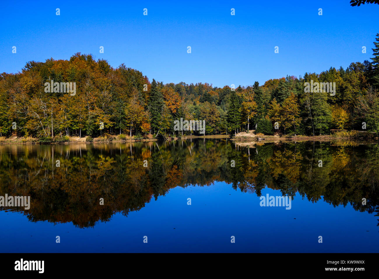 Bellissima giornata per passeggiate nella foresta di autunno e il lago Trakoscan in Croazia Foto Stock