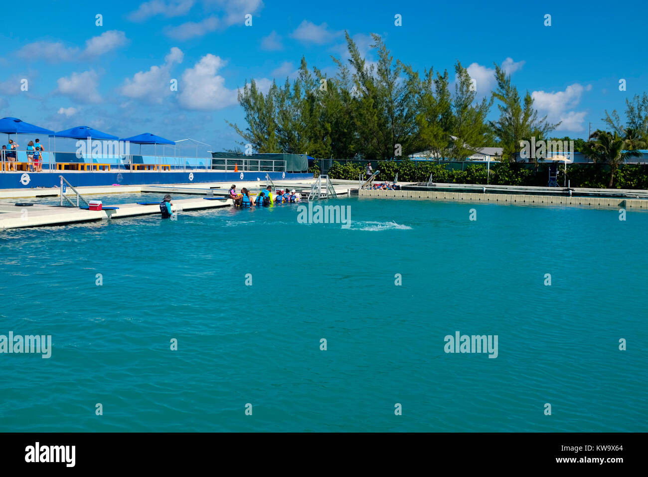 Dolphin Discovery, West Bay, a Grand Cayman. Foto Stock