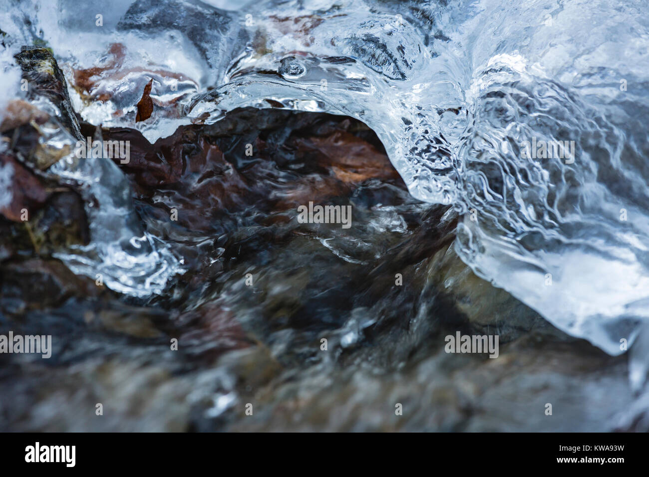 Un piccolo fiume di montagna nel nord del Eifel in inverno, Germania vanishing sotto uno strato di ghiaccio. Foto Stock