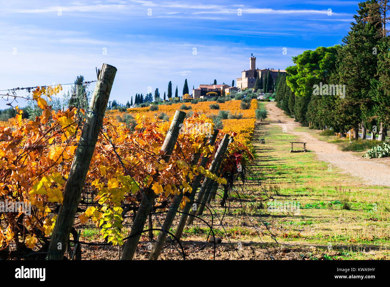 Imponente castello Banfi,vista con variopinti vigneti,Toscana,l'Italia. Foto Stock