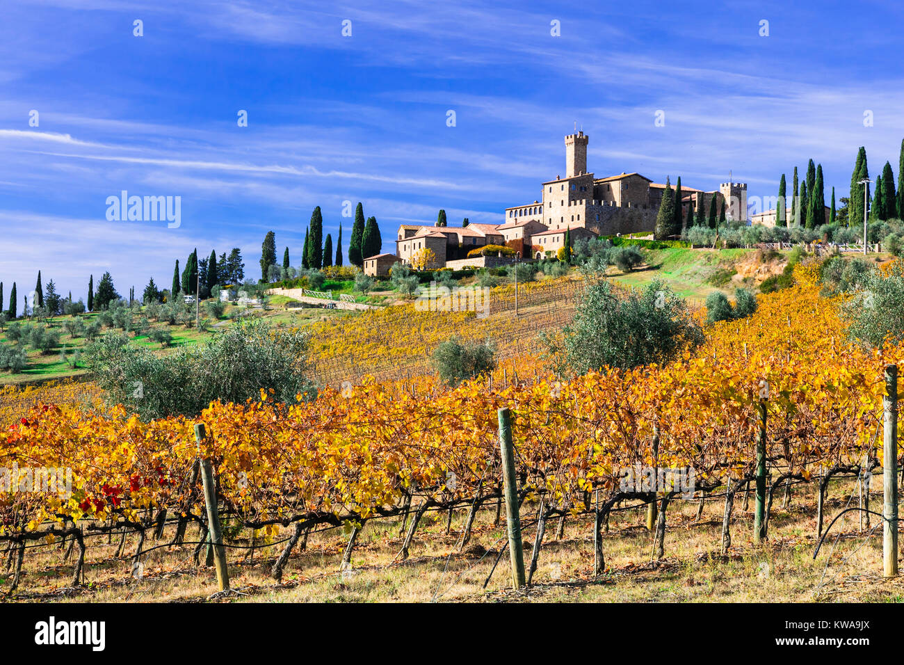 Imponente castello Banfi,vista con variopinti vigneti,vicino a Montalcino,Toscana,l'Italia. Foto Stock