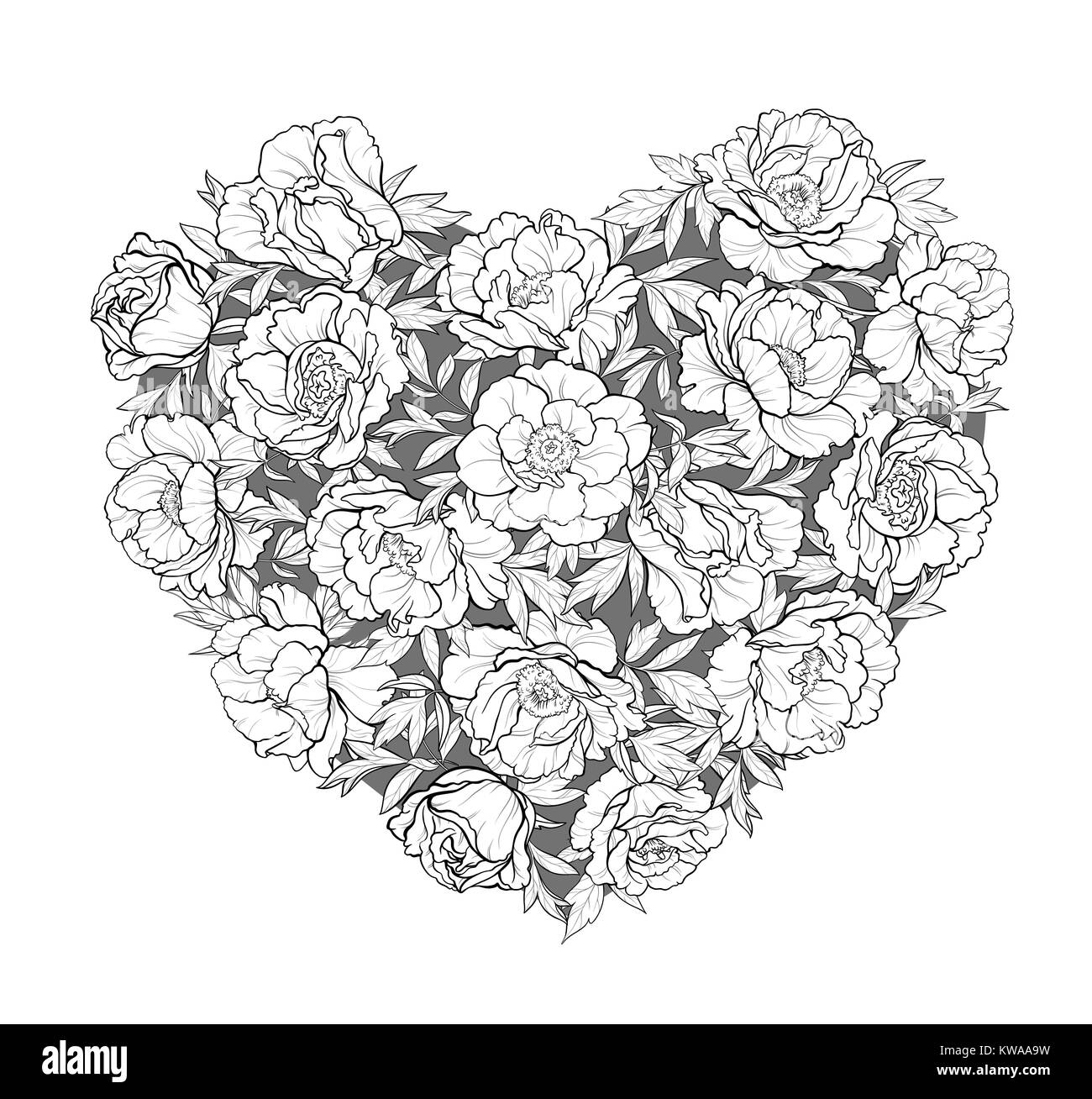 Cuore del vettore delle peonie Illustrazione Vettoriale