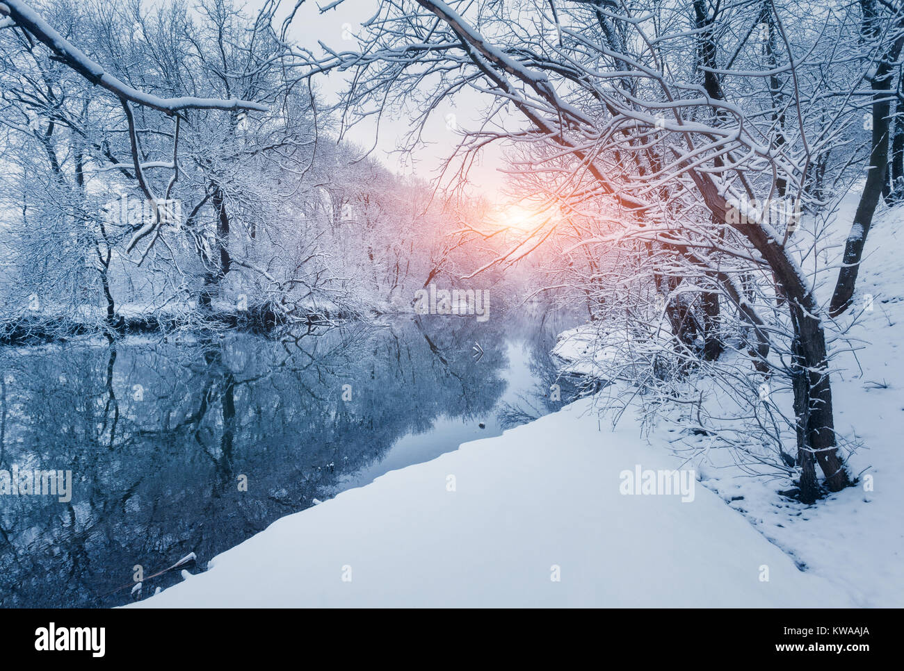 Foresta invernale sul fiume al tramonto. Paesaggio colorato con alberi innevati, fiume con la riflessione in acqua fredda sera. Coperta di neve alberi, lago, s Foto Stock