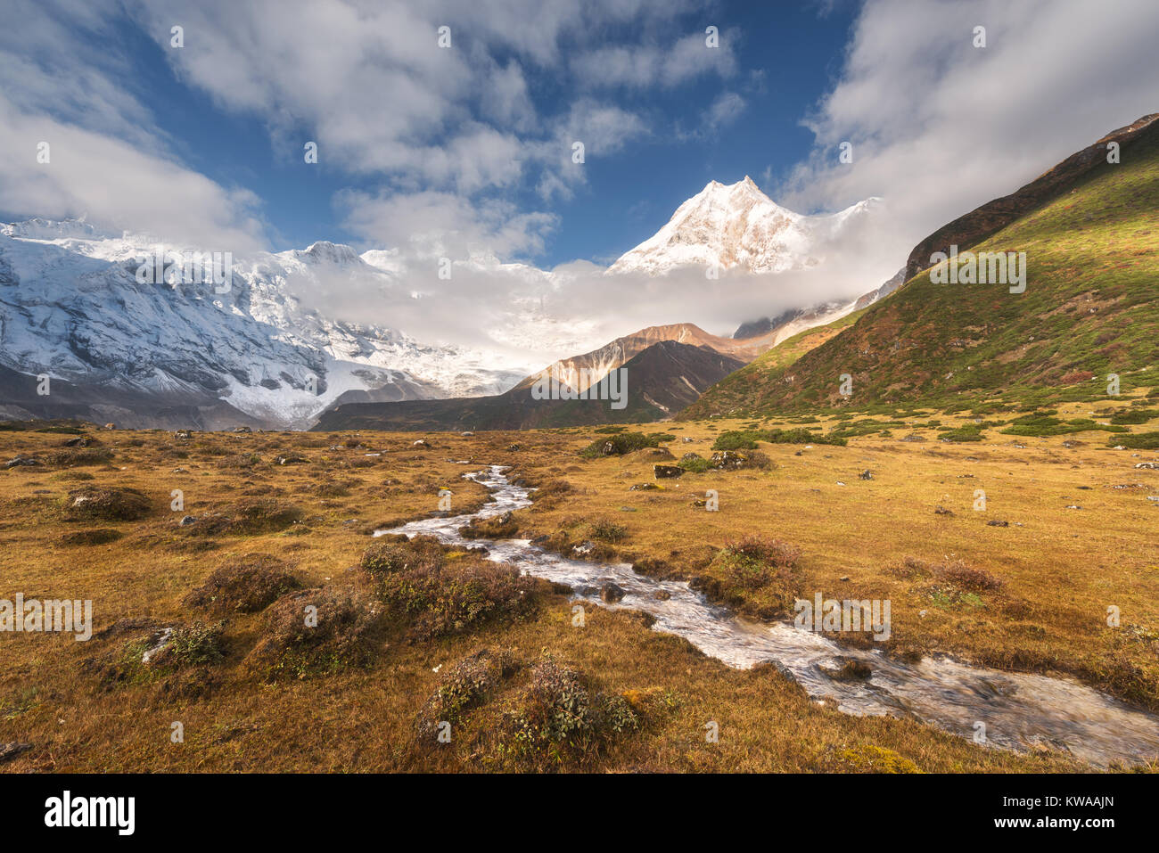 Lo splendido paesaggio di alta montagna con cime coperte di neve, piccolo fiume, giallo Erba e cielo nuvoloso al colorato sunrise. Valle di montagna. Il Nepal. Foto Stock
