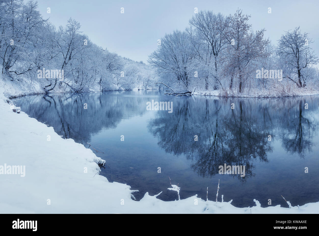 Foresta invernale sul fiume al tramonto. Paesaggio colorato con alberi innevati, fiume con la riflessione in acqua fredda sera. Coperta di neve alberi, lago, s Foto Stock