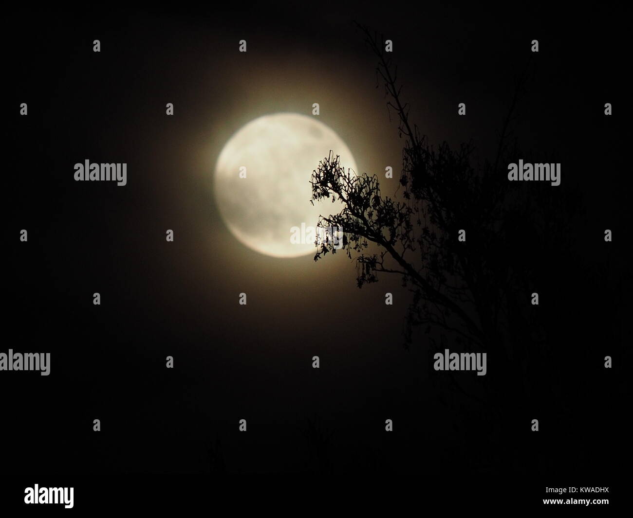 Sheerness, Kent, Regno Unito. 1a gen, 2018. Regno Unito Meteo: la piena supermoon come visto sopra Sheerness. Credito: James Bell/Alamy Live News Foto Stock