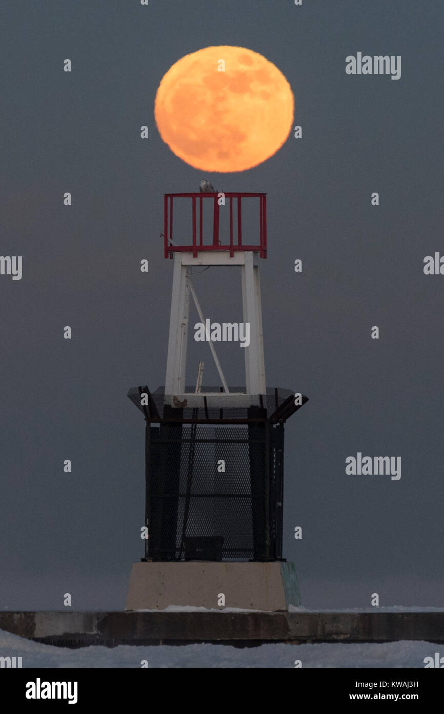 Chicago, Stati Uniti d'America. 1a gen, 2018. Una civetta delle nevi si siede in cima al faro a luce rotante sul molo al North Avenue beach come supermoon sorge su una delle più fredde il giorno di Capodanno in decenni. La luna è al suo punto più vicino, il perigeo, a terra durante la sua orbita mensile e compare il 30% più luminoso e 14% più grande. Gennaio 2018 vede un supermoon noto come 'Wolf moon" il 1 gennaio e un "Blue Moon" il 31 gennaio. Credito: Stephen Chung/Alamy Live News Foto Stock