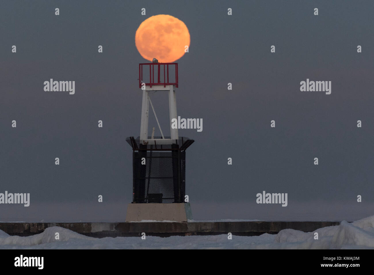 Chicago, Stati Uniti d'America. 1a gen, 2018. Una civetta delle nevi si siede in cima al faro a luce rotante sul molo al North Avenue beach come supermoon sorge su una delle più fredde il giorno di Capodanno in decenni. La luna è al suo punto più vicino, il perigeo, a terra durante la sua orbita mensile e compare il 30% più luminoso e 14% più grande. Gennaio 2018 vede un supermoon noto come 'Wolf moon" il 1 gennaio e un "Blue Moon" il 31 gennaio. Credito: Stephen Chung/Alamy Live News Foto Stock