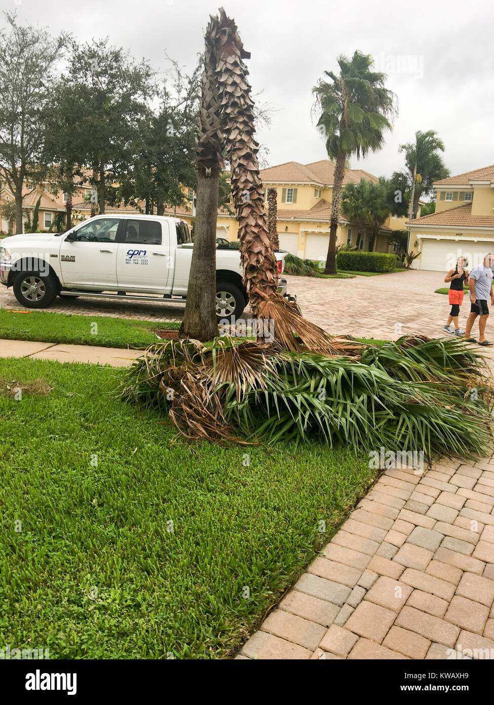 Un paio di passeggiate attraverso il cul-de-sac di un alloggiamento di sviluppo e viste di un danneggiato Palm tree che è stato strappato a metà da venti alti durante l uragano Matteo, in West Palm Beach, Florida, 7 ottobre 2016. Foto Stock