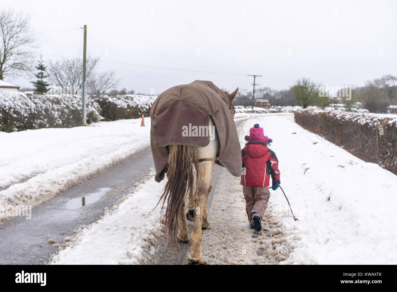 Cavallo essendo portato il mio piccolo bambino giù per una strada innevata Foto Stock