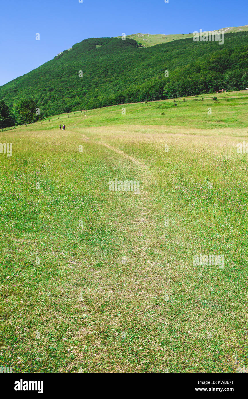 Paesaggio verticale di prato verde sulla cima della montagna della Majella in Abruzzo, Italia. Foto Stock