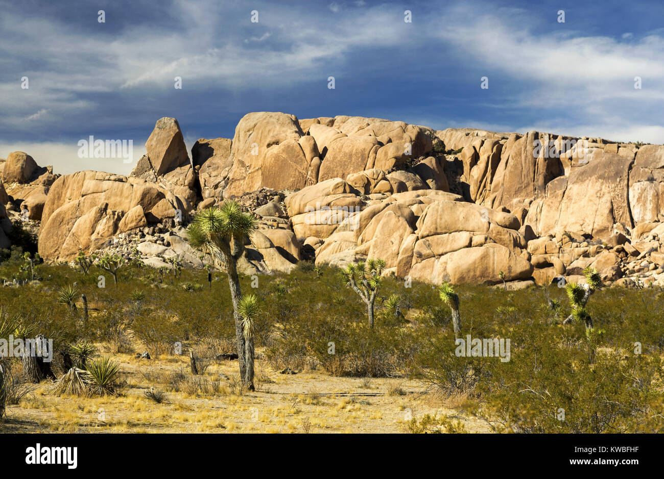 Paesaggio panoramico del deserto di sonora con Blue Skyline e rocce isolate nel parco nazionale di Joshua Tree, California USA Foto Stock