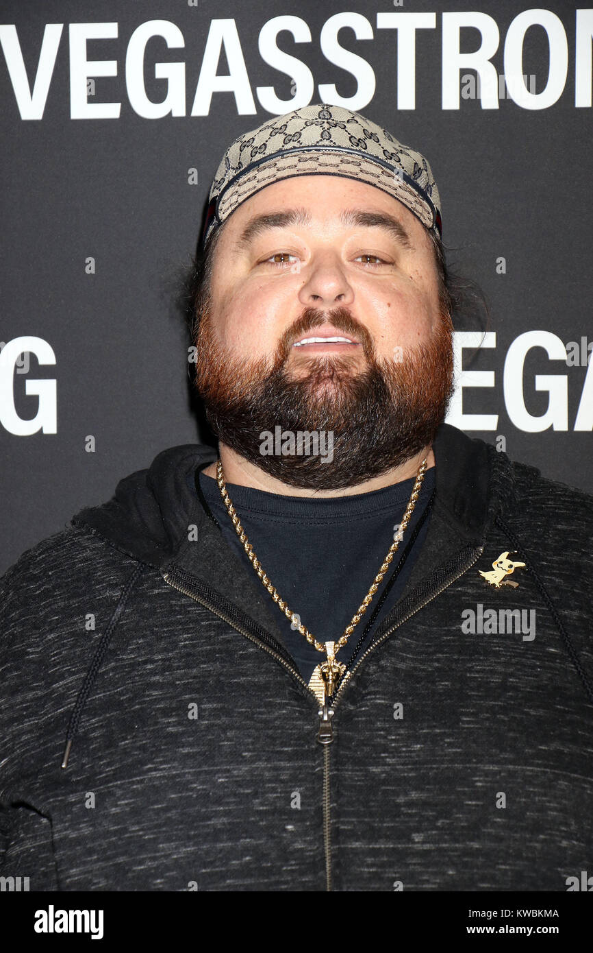 Vegas forte un concerto benefico presso la T-Mobile Arena offre: Chumlee dove: Las Vegas, Nevada, Stati Uniti quando: 02 Dic 2017 Credit: DJDM/WENN.com Foto Stock