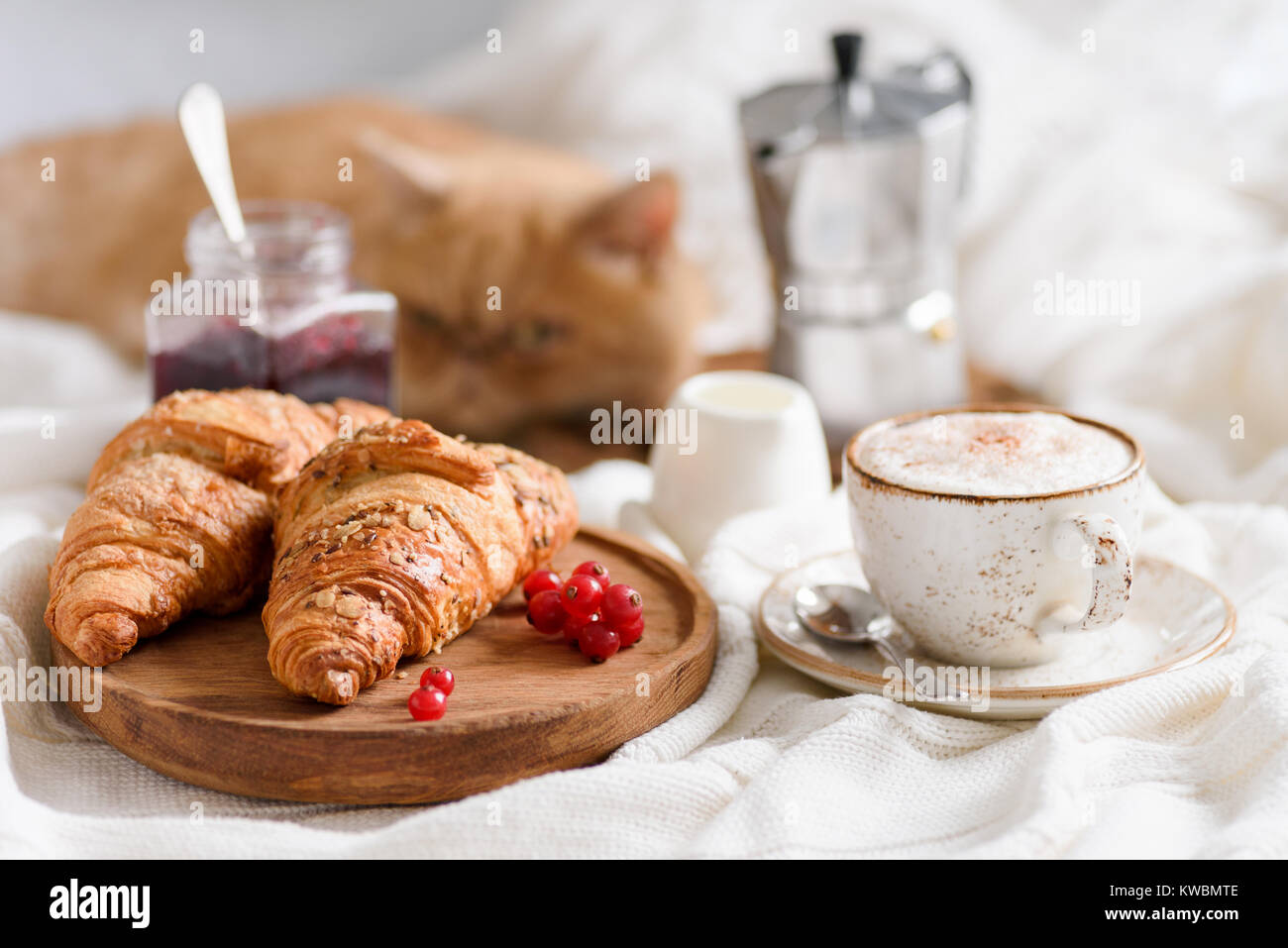 La prima colazione a letto con cornetti, caffè e marmellata. Vista orizzontale. Lo zenzero cat recante sullo sfondo Foto Stock