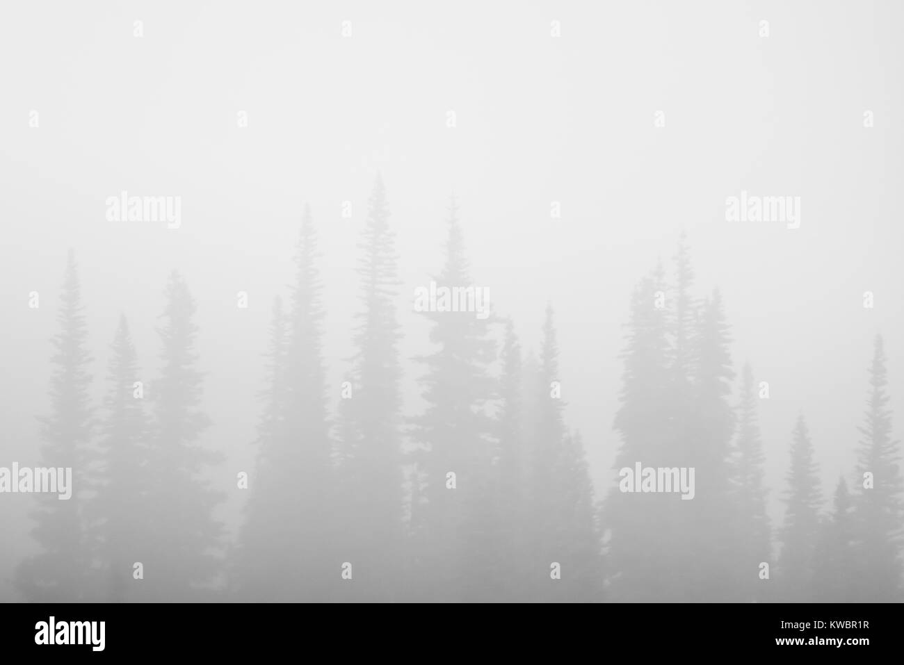 Le nuvole e la nebbia creano condizioni atmosferiche mutevoli paesaggi per lo sci e mountain bike sulla Whistler Blackcomb Mountains in British Columbia Canada Foto Stock