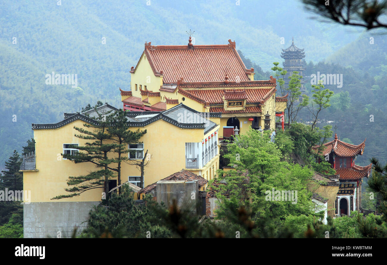 Tempio buddista e alberi di pino sul monte in Jiuhua Shan, Cina Foto Stock
