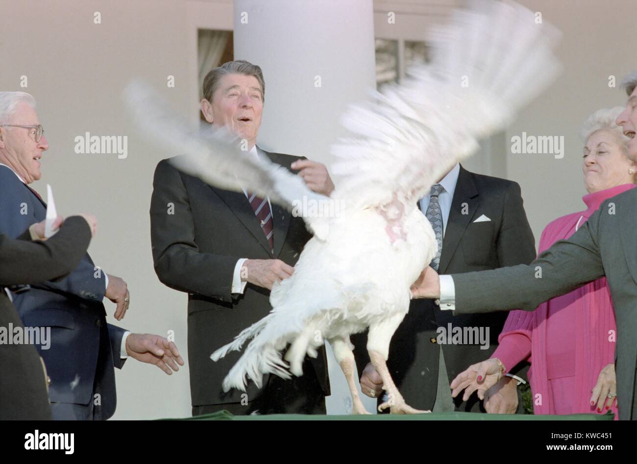 Ronald Reagan alla Casa Bianca cerimonia per ricevere il quarantesimo giorno del Ringraziamento la Turchia. Nov. 13, 1987. (BSLOC 2015 14 76) Foto Stock