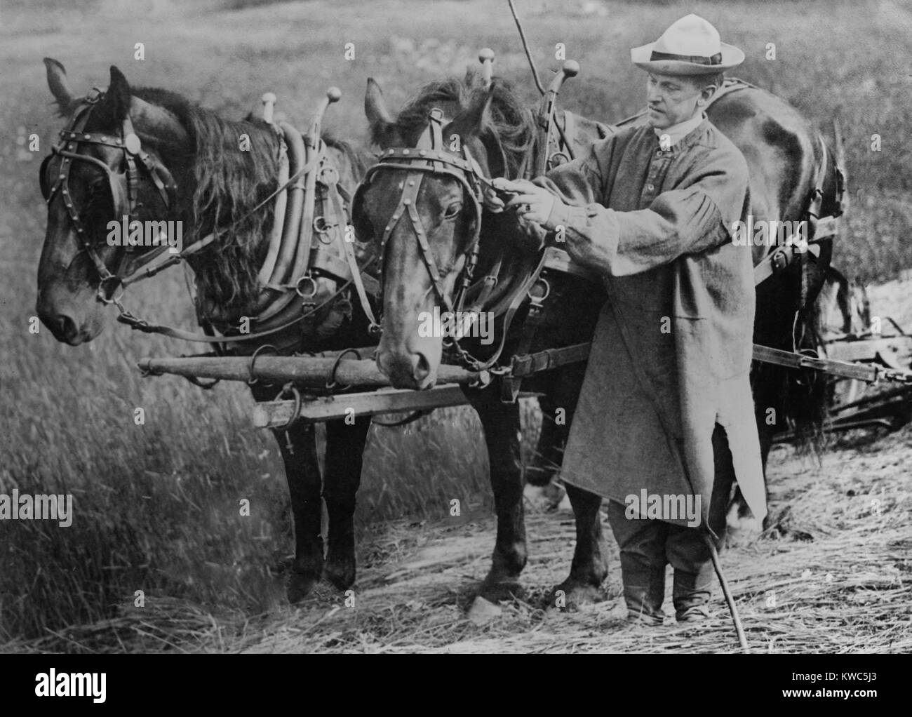 Calvin Coolidge la regolazione di un cavallo sul cablaggio di suo padre a farm in Plymouth, Vermont. Ca. 1920-23. In futuro Presidente Calvin Coolidge indossava un soprabito e stivali in pelle durante la falciatura del fieno. (BSLOC 2015 15 159) Foto Stock