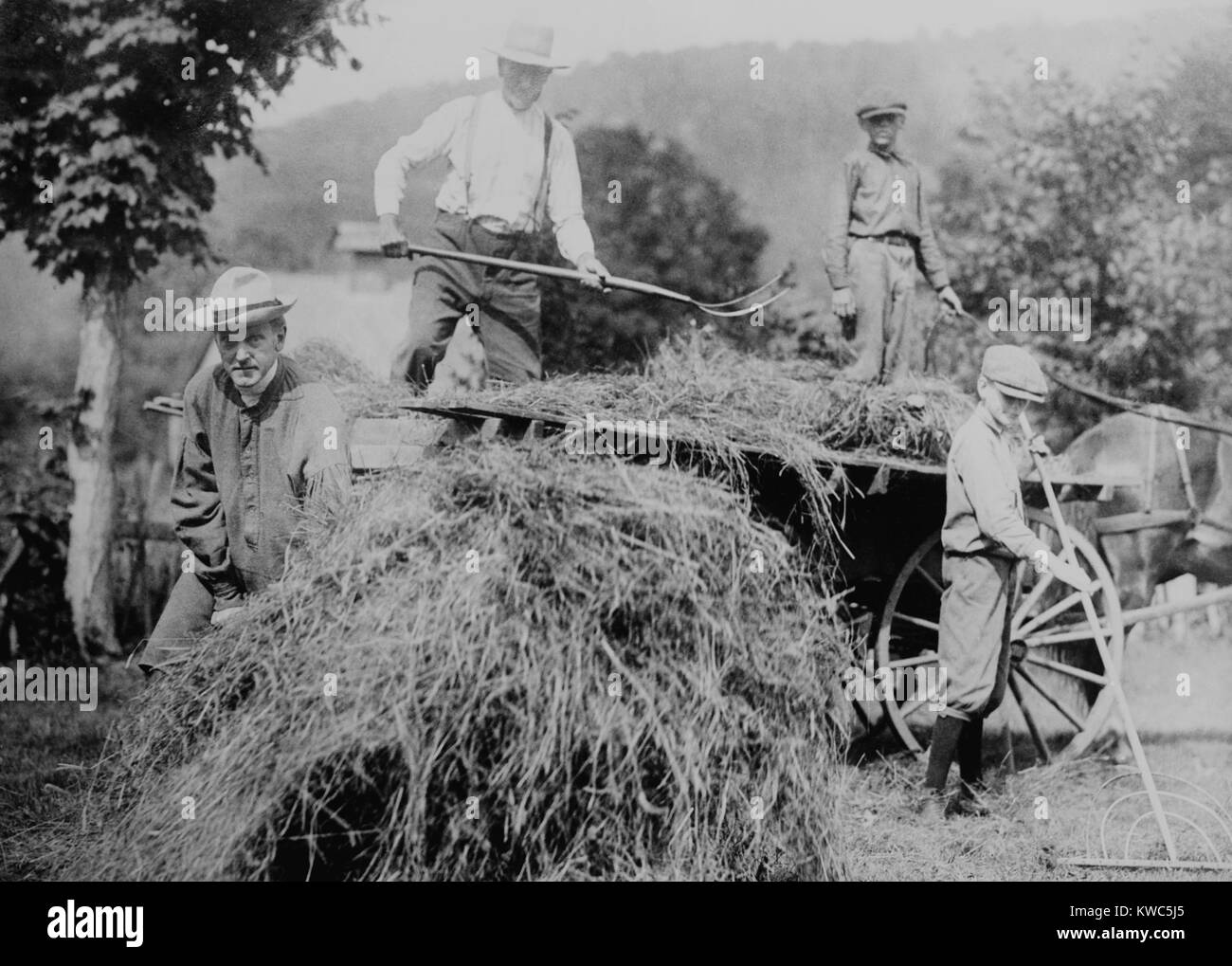 Calvin Coolidge raccolti fieno con suo padre, John Coolidge e i figli Giovanni e di Calvino. Il futuro Presidente Calvin Coolidge indossava un soprabito sul suo padre nella fattoria di Plymouth, Vermont. Ca. 1920-23. (BSLOC 2015 15 160) Foto Stock