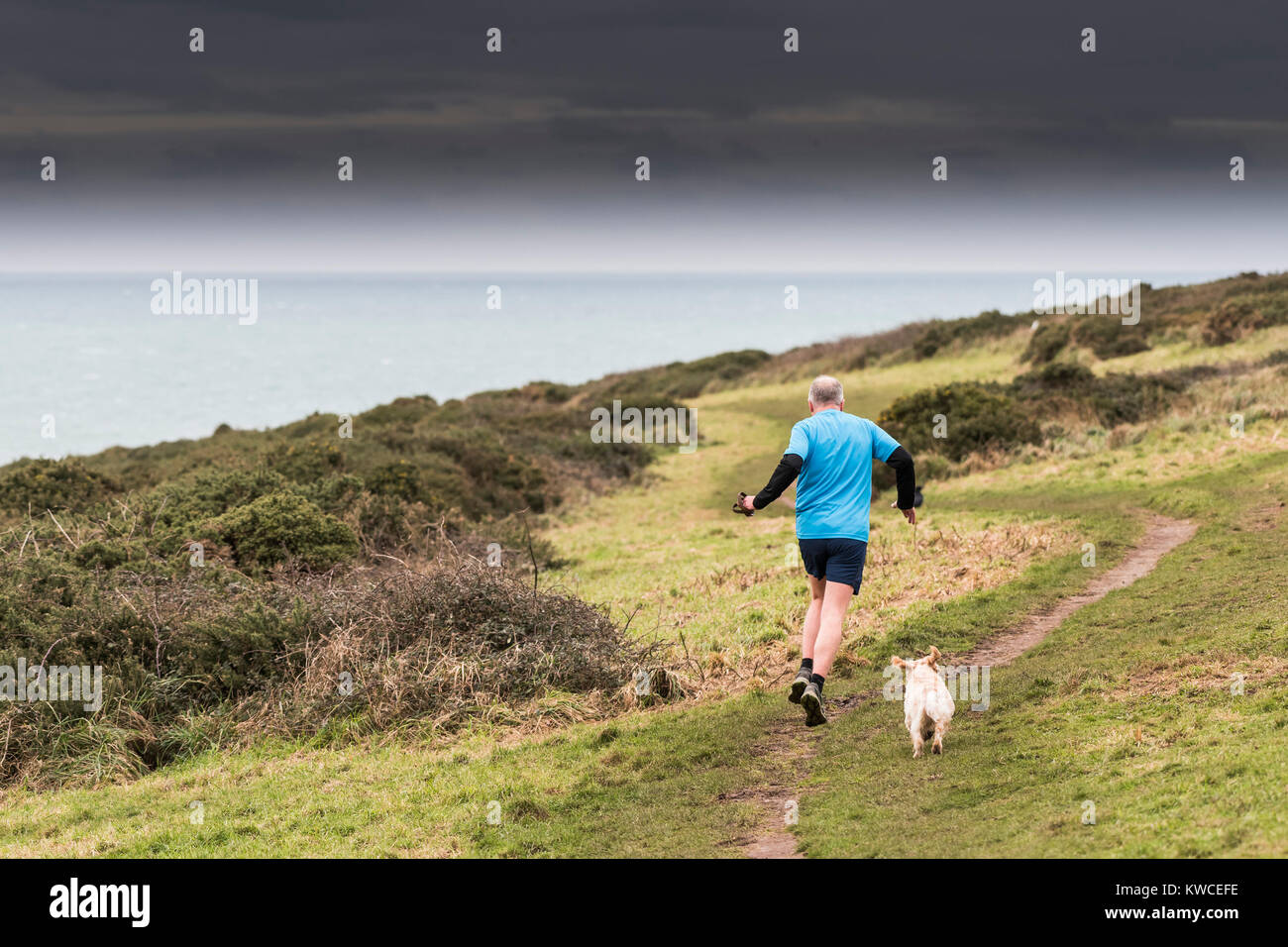 Jogging - un pareggiatore runner con il suo cane che corre lungo un sentiero sulla East Pentire in Newquay Cornwall. Foto Stock