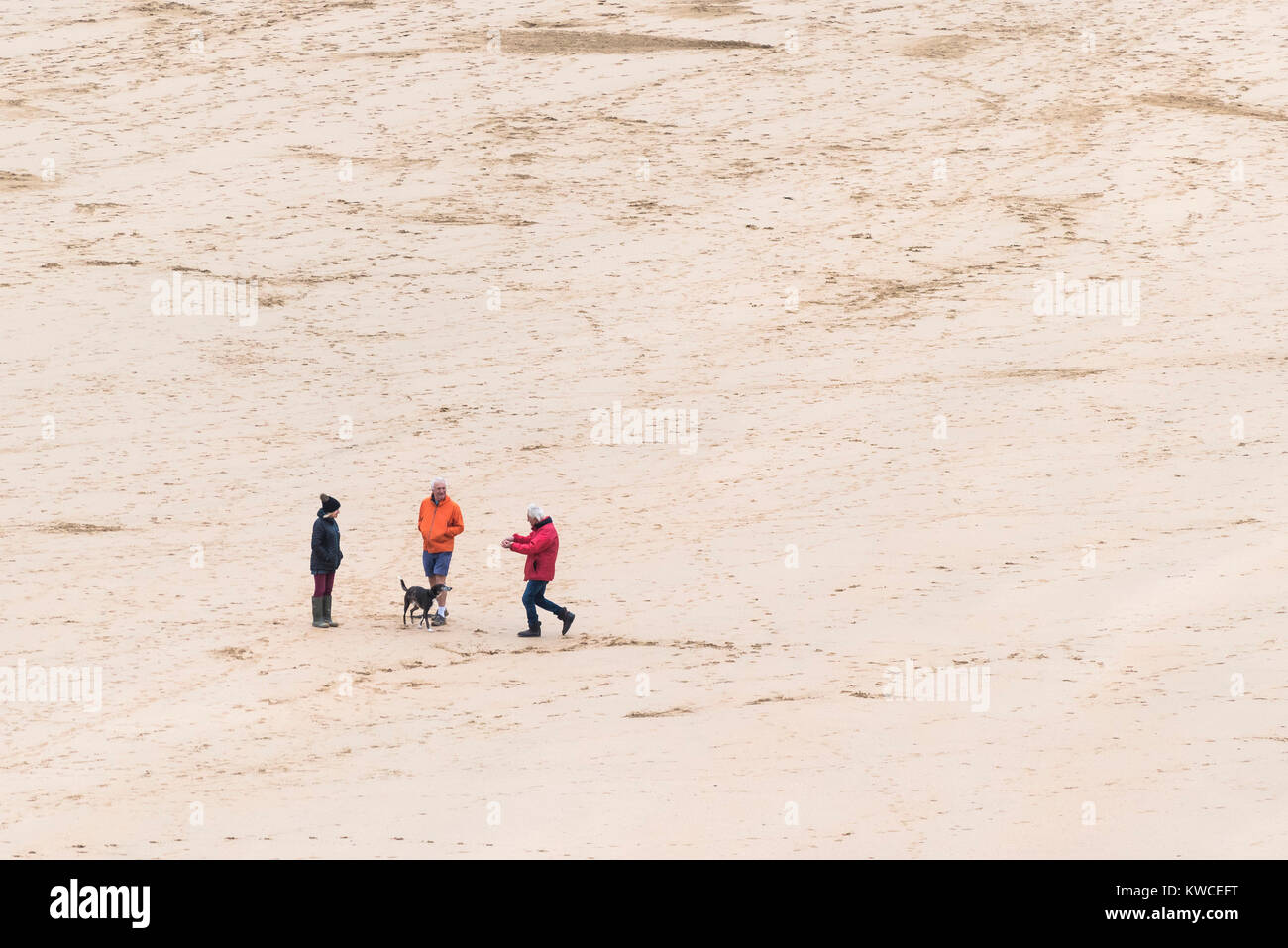 Dog walkers - tre persone visto da una distanza a giocare con un cane Crantock Beach Newquay Cornwall. Foto Stock