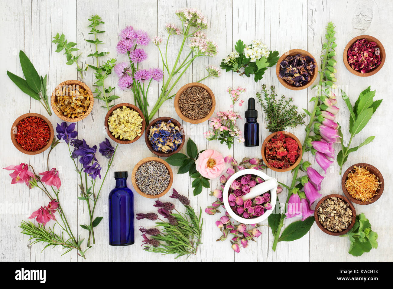 A base di erbe naturali di selezione di medicina di erbe e fiori in ciotole di legno e sciolto, vetro aromaterapia olio essenziale di bottiglie e mortaio con pestello. Foto Stock