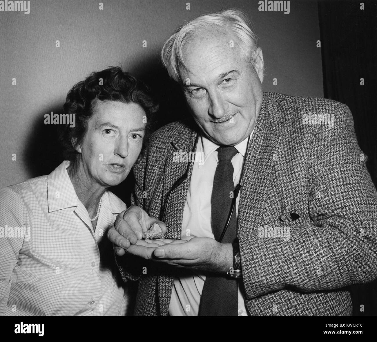 Gli antropologi Maria Douglas Leakey e suo marito, Louis Leakey. Louis è premuto il frammento di un precoce umana osso mandibolare con molari. Ca. 1960s. - (BSLOC 2015 1 56) Foto Stock
