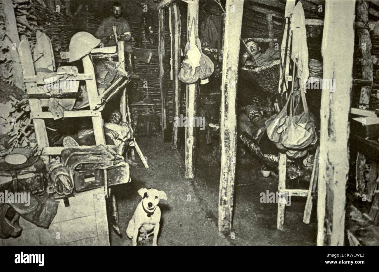 Guerra Mondiale 1: la battaglia di Verdun. Una delle camere del sottosuolo in Verdun fortificato è stato usato come un ospedale. Il cagnolino in primo piano ha rifiutato di essere separato dal suo maestro feriti. Ca. 1916. (BSLOC 2013 1 93) Foto Stock
