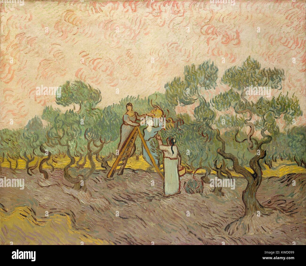 Le donne raccogliere le olive di Vincent Van Gogh, 1889, olandese Post-Impressionist, olio su tela. Delle tre versioni di questo motivo, quest'ultimo, è più stilizzata (BSLOC 2017 5 51) Foto Stock