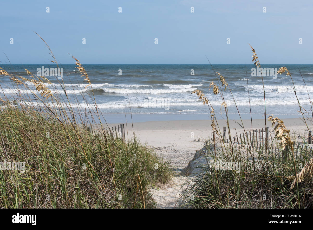 Una bella Carolina bassa del paese sulla spiaggia con vista sull'oceano, sabbia, dune di sabbia, mare di avena e cielo blu. Foto Stock