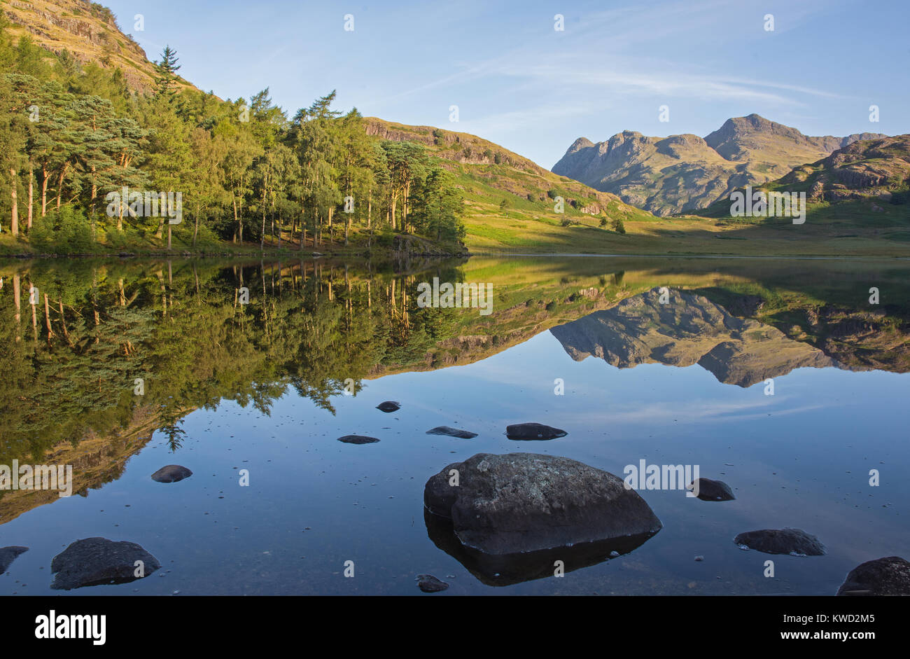 Blea Tarn e The Langdale Pikes Cumbria Lake District inglese in Inghilterra su mattinata estiva con sole splendente e riflessioni con le rocce in primo piano Foto Stock