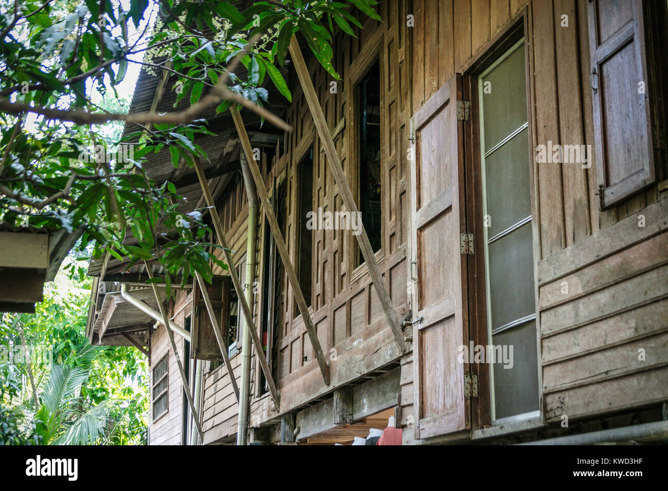 Sollevate tradizionale Thai house a Coconut piantagione di zucchero, Tambon Kradangnga, Samut Songkhram, Thailandia Foto Stock